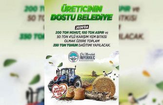 Tohum desteği başlıyor