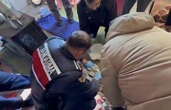 Tokat’ta jandarmadan uyuşturucu operasyonu: 8 gözaltı