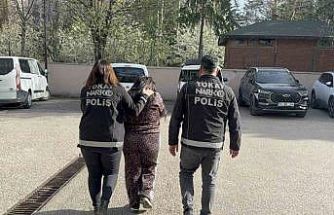 Tokat’ta zehir tacirlerine operasyon: 1 tutuklama