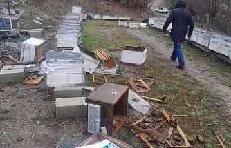 Tunceli’de ayı, 20 kovanı parçaladı