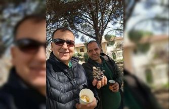 Türkiye çam balı üretiminde dünya birincisi