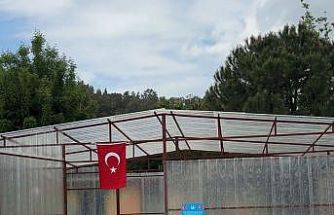 Ülkü Ocakları’ndan özel öğrencilerin okuluna 23 Nisan hediyesi sera