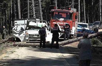 Uludağ’da inanılmaz olay...Kesilen ağaç seyir halindeki kamyonetin üzerine devrildi: 1 ölü
