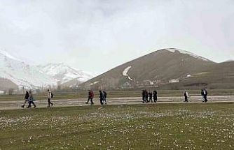 Üniversite öğrencilerinden çiğdemler arasında doğa yürüyüşü