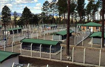 Ünye’de sahipsiz hayvanlar için örnek tesis tamamlanıyor