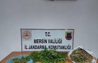 Uyuşturucu taciri yakalanıp tutuklandı