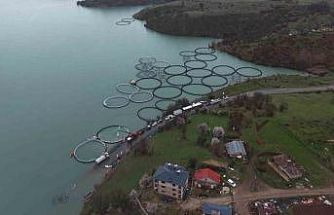 Uzunçayır Baraj Gölü’nde bir ilk: 1 buçuk milyon yavru alabalık su ile buluştu