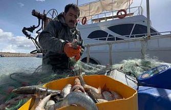 Van Gölü’nde inci kefali için av yasağı: Kaçak avlanmanın cezası 16 bin TL