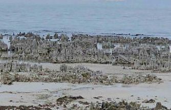 Van Gölü’nde kuraklık alarmı: Adilcevaz sahilinde mikrobiyalitler gün yüzüne çıktı