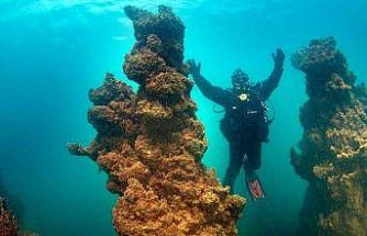 Van Gölü’nün mikrobiyalitleri Guinness için ön elemeyi geçti