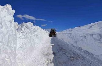 Van’da 5 metreyi bulan karda yol açma çalışması