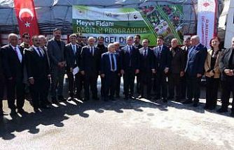 Van’da 5 yılda 4 buçuk milyon fidan toprakla buluşturuldu