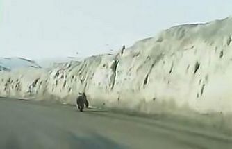 Van’da kara yoluna inen ayı kameraya yansıdı