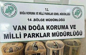Van’da keklik avlayan şahsa 86 bin 278 lira para cezası