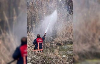 Van’da sazlık alanda yangın
