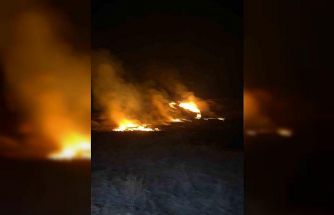 Van’da sazlık alanda yangın çıktı