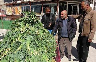 Van’da şifa kaynağı ‘çiriş otu’ tezgahlardaki yerini aldı