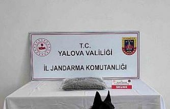 Yalova’da uyuşturucu operasyonunda 1 tutuklama