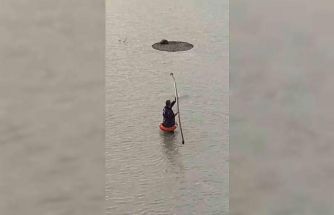 Yapay gölette mahsur kalan tilkiyi itfaiye kurtardı