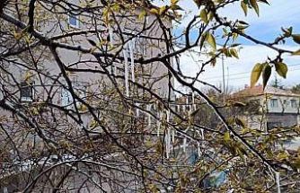 Yozgat’ta çiftçiler zirai don tehlikesine karşı uyarıldı