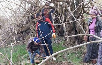 Yozgat’ta kuyuya düşen büyükbaş, AFAD ekiplerince kurtarıldı
