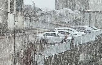 Yüksekova’da kar ve sis etkili oldu: Görüş mesafesi 20 metreye düştü