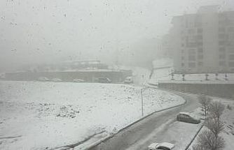 Yüksekova’da nisan ayında kar esareti