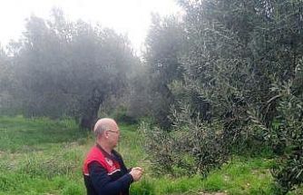 Zararlılara karşı tuzaklar kuruldu