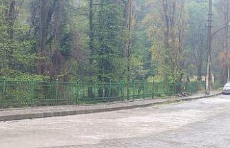 Zonguldak’ta sağanak yağışla birlikte göle döndü