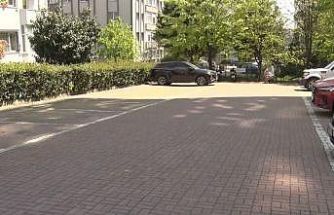 Beylikdüzü’nde başıboş köpekler vatandaşı kovaladı