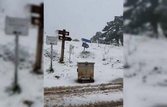 Bilecik’in yüksek rakımlı köylerinde kar kalınlığı 10 santimetreyi buldu