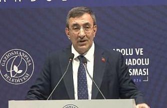 Cumhurbaşkanı Yardımcısı Yılmaz: "Doğu, Güneydoğu artık farklı bir noktaya gelmiş durumda"