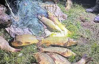 Eğirdir Gölü’nde kaçak avcılara suçüstü: 100 kilo sazan yeniden göle bırakıldı