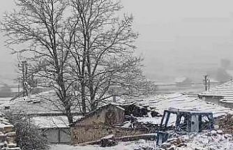 Eskişehir’in kırsalı mayıs ayında beyaza büründü