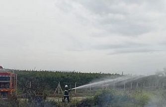 Hassa’da zeytinlik  yangını