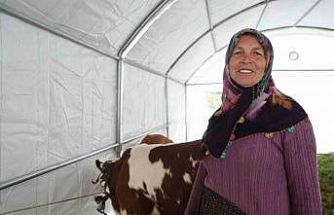 Hayriye Teyze’nin yüzü devlet desteğiyle güldü