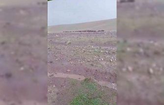 Iğdır’da sağanak ve dolu sonrası sel: Hayvanlar son anda kurtarıldı