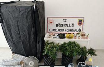 İklimlendirme sistemiyle yasa dışı ekim yapan 4 şüpheli gözaltına alındı