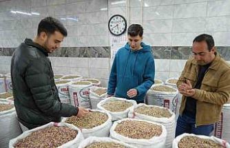 İran-ABD ve İsrail savaşı Antep fıstığı satışını durdurdu