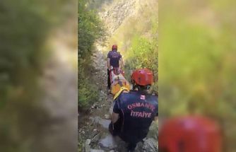 Kekik toplarken dere yatağına düşen çocuk yaralandı