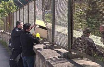 Maltepe’de ormanda erkek cesedi bulundu