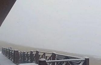 Mayısta kış geri döndü