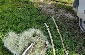 Şanlıurfa’da kaçak avcıların yakaladığı balıklar göle bırakıldı