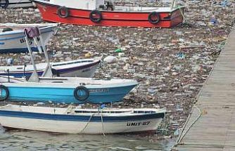 Zonguldak Limanı çöplüğe döndü: Derelerin taşıdığı atıklar deniz yüzeyini kapladı
