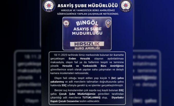 Bingöl’de hırsızlık olayının faili tutuklandı