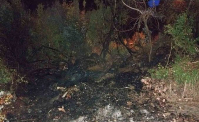 Bucak’ta arazi yangını