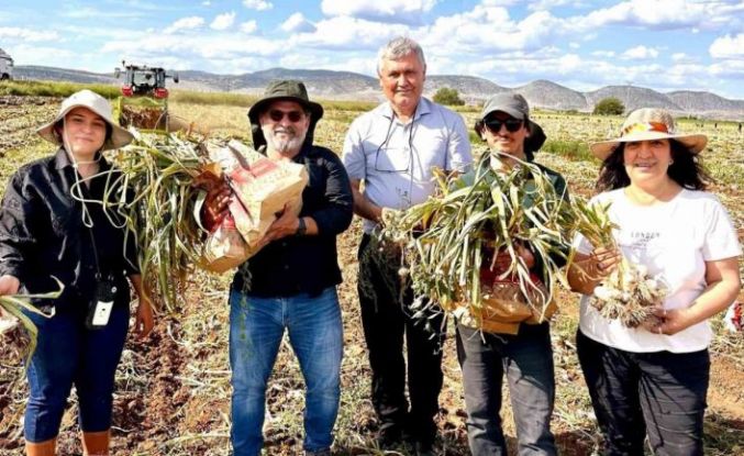 KBÜ, sarımsakta Fusarium hastalıklarına karşı bilimsel çözüm geliştirdi