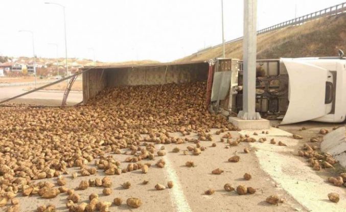 Pancar yüklü kamyon devrildi