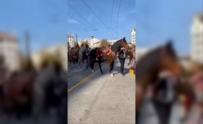 Şehir merkezinde gezdirilen atlar vatandaşları meraklandırdı