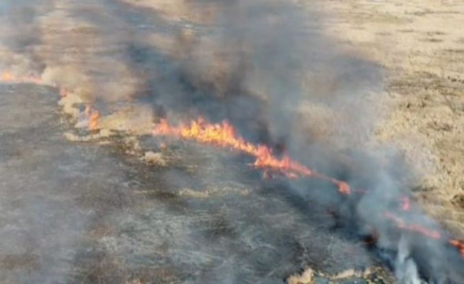 Van’da sazlık yangını